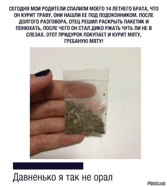 Кот побросил :)