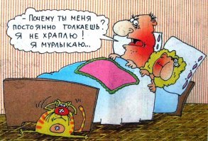 Прикольные и смешные картинки