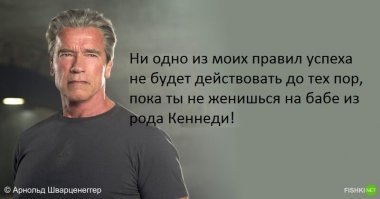 Цитаты Железного Арни для мотивации и не только