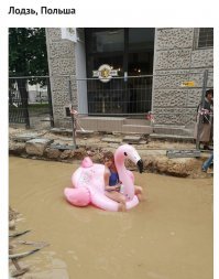 Ни хрена себе она перемещается.