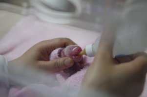 Панд забыли)