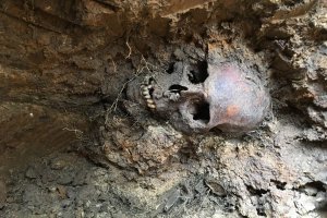 А часто и могилы-то никакой не было. Засыпало землей да так и лежал..