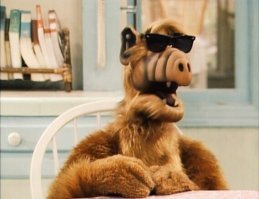 7 культовых моделей очков, с которыми вы точно не ошибетесь