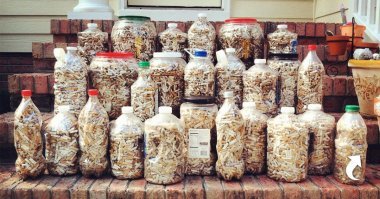 Это же Клондайк! Эльдорадо! (с)... ))