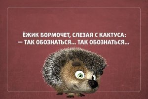Трагическая история любви красной коровы из Южно-Курильска растрогала россиян