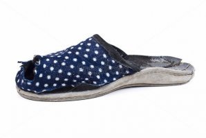 Наглая кошка испортила хозяйке трапезу