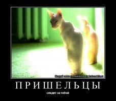 Деанон пришельцев на Фишках: директор Рен-ТВ всё же с Нибиру