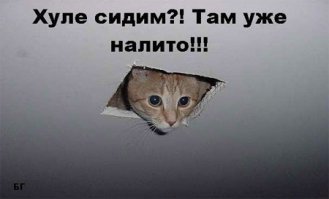 Хозяйка, доброе утро!