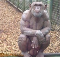 Да в рукопашку с таким шансов нет