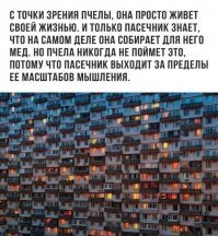 Если мы не одни, и если с нами избегают контактировать, то не из-за уровня агрессии. А только по причине нашей низкой развитости. Не доросли мы. Вам же в здравом уме не приходит в голову ехать за 5000 км  устанавливать дипломатические и торговые отношения с муравейником в сибирской тайге? Возможно какие-то их ученые и изучают нас, но методами, которые выходят за рамки нашего восприятия. Или даже кто-то использует нас, но мы этого не понимаем.