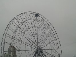 колесо обозрения для социофоба