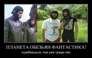 Максимально близко к восстанию обезьян: в Уганде шимпанзе объявили войну людям