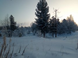 1 фото сегодня, температура падала до - 28
Мороз такой что снег хрустит под ногами