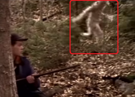 А вот он и сам!