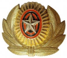 Ничего удивительного, у всех силовиков на лбу знак победы Японии над Россией. Ибо жёлтая звезда это знак японской армии.