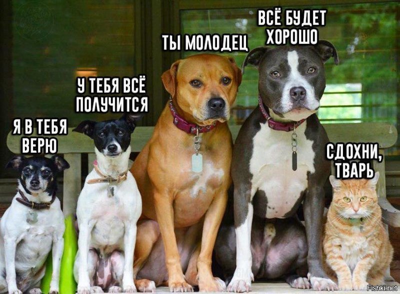«Могут отказать все органы»