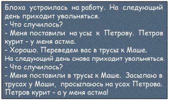 Прикольные и смешные картинки
