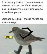 10 раз прочитал так и не понял этого тонкого юмора.
