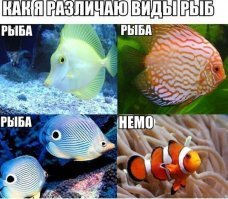 Четверг - рыбный день