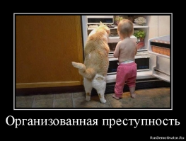 Командная работа: ребенка и собаку застукали на месте преступления