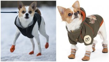 он за ботинками побежал