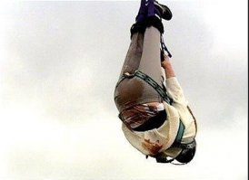 Так вот как выглядит адреналин...