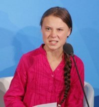 Грета Тунберг будет очень недовольна. Это сколько же парниковых газов выпердывают немецкие машины в атмосферу каждый год? А ведь можно было ездить на лошадях, мулах и ишаках. И тогда экология была бы намного чище.