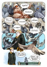 Прикольные и смешные картинки