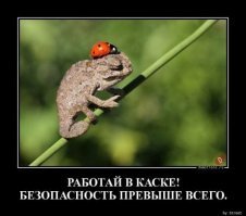 Эффектное замыкание во время обслуживания трансформаторной подстанции