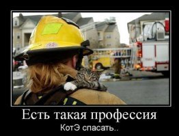 Спасение наглотавшегося на пожаре дыма котенка