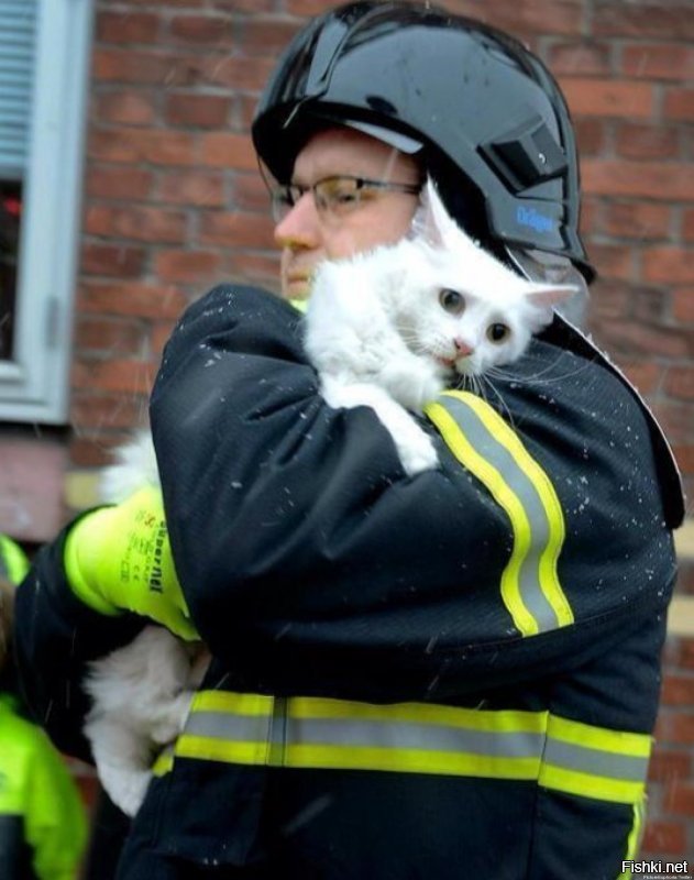 Спасение наглотавшегося на пожаре дыма котенка