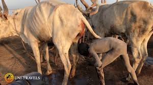 Все, кто пишут про максимальную сложность жизни в России, а про это что скажете?