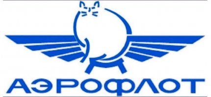 Толстый кот Виктор против Аэрофлота