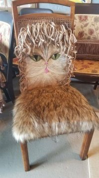 Надеюсь при изготовлении сего шедевра ни один котейка не пострадал)