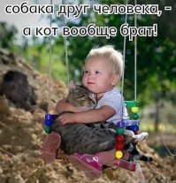 Прикольные и смешные картинки