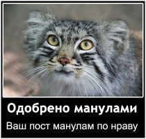 Возвращение мануленка Дарьи (может быть)