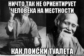 Ироничные цитаты для поднятия настроения