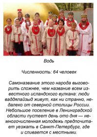 На фото их человек 15, т.е. чётвёртая часть от заявленного автором количества всей национальности. От кого они все произошли?