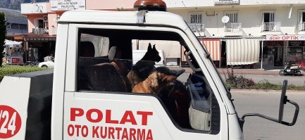 Документики готовим, машину к досмотру.