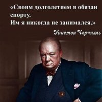 Ироничные цитаты для поднятия настроения
