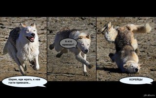 Жена пожалела, что доверила мужу организацию детского дня рождения