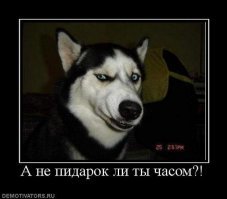 Девушки с хорошей растяжкой
