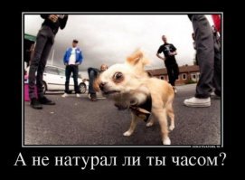 Девушки с хорошей растяжкой