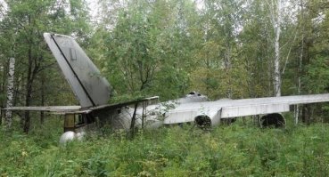 Мало ли, что в лесу теряют!