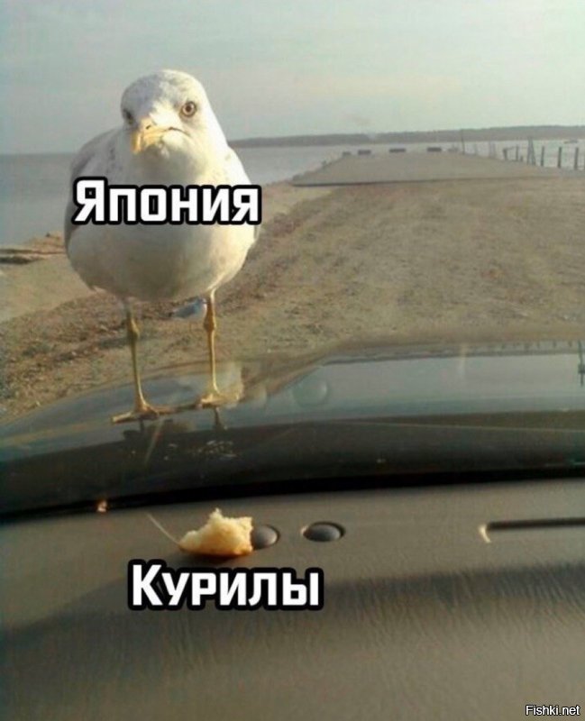 Политические скрины