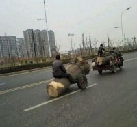 Тут феерическая глупость в том, что чел сидит не на той части бревна?