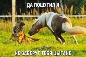 30 фотографий, которые напоминают - наш мир не такой уж плохой!