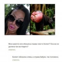 Прикольные и смешные картинки