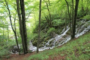 Как в такой теме без Плитвицких озёр?