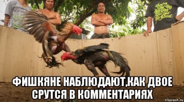 Когда форумчанин